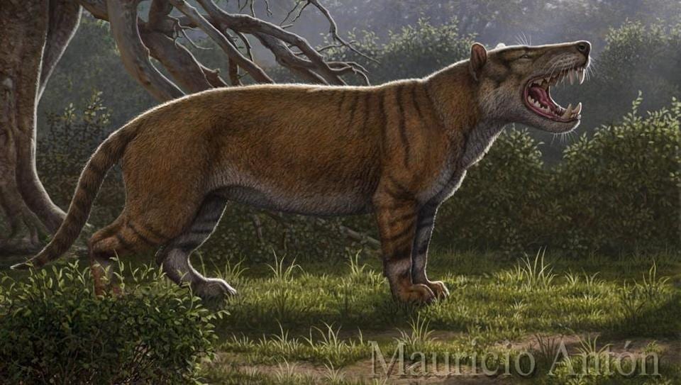 Researchers discover ancient giant ‘lion’ in Kenya | Trending ...