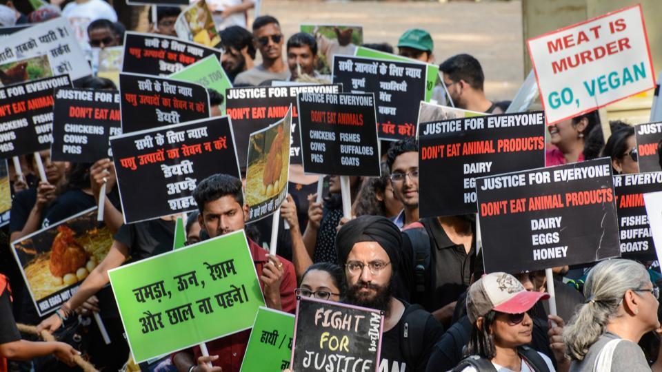 Vegan revolution activists unite in Pune for animal justice