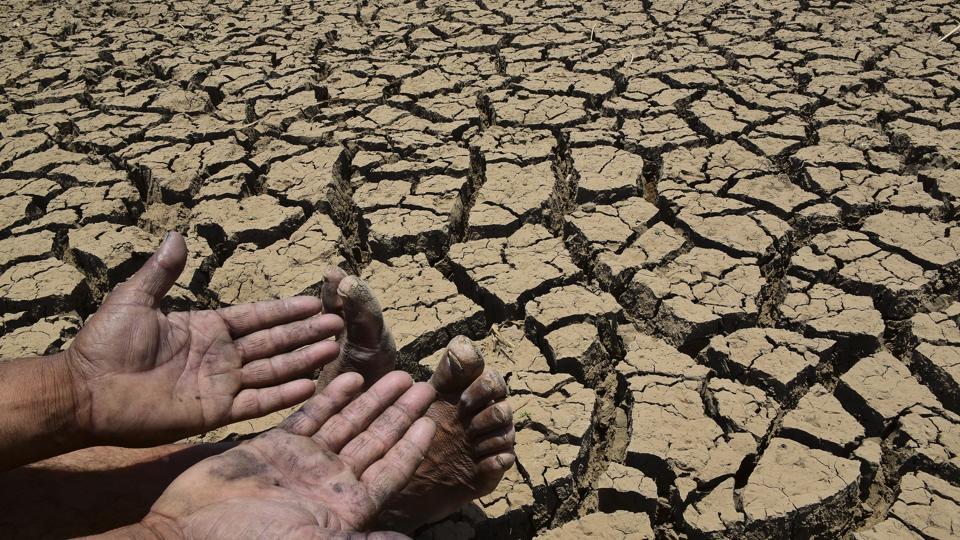 Fadnavis asks officials to visit drought-hit areas in Maharashtra ...