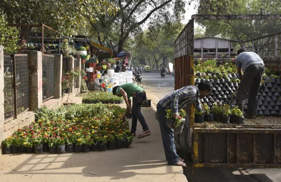 MCG opens one plant nursery each in 4 zones