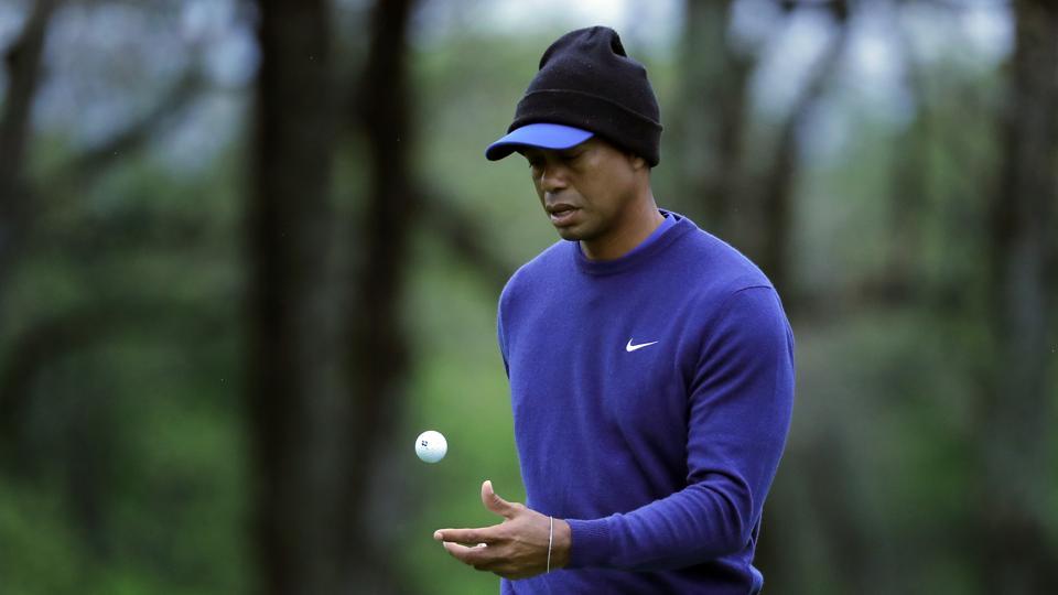 Tiger sued over restaurant staffer’s drink driving death: Report