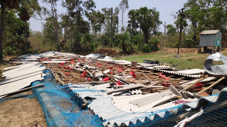 Cyclone Fani led to massive loss of poultry in Odisha: Official