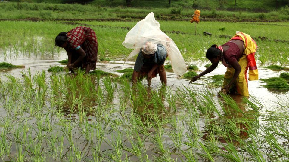 In India, all eyes on a monsoon that is critical for the economy ...