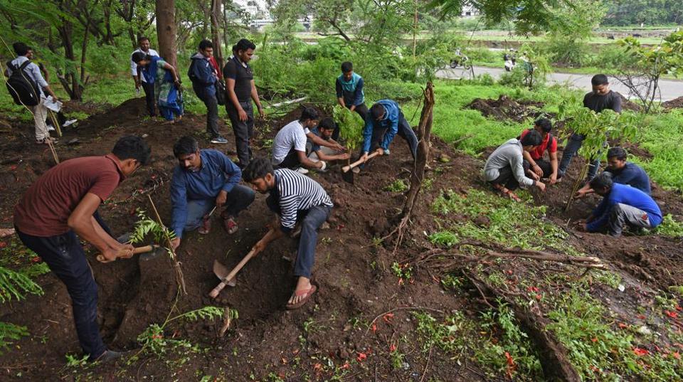 DU makes tree plantation mandatory part of the curriculum from the next academic session