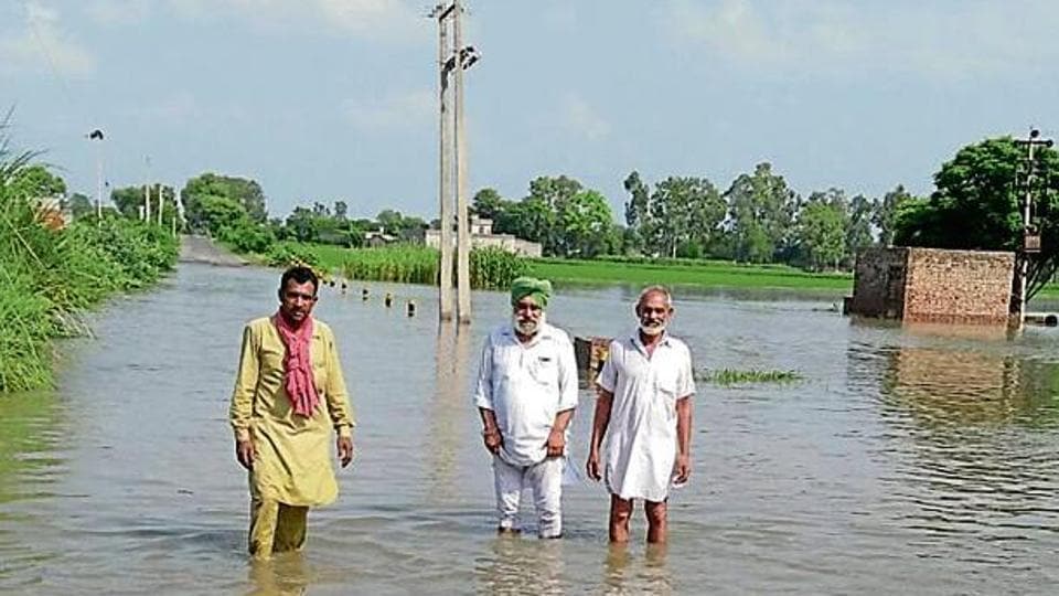 Rain misery: Inundated fields, submerged crops worry Muktsar farmers ...