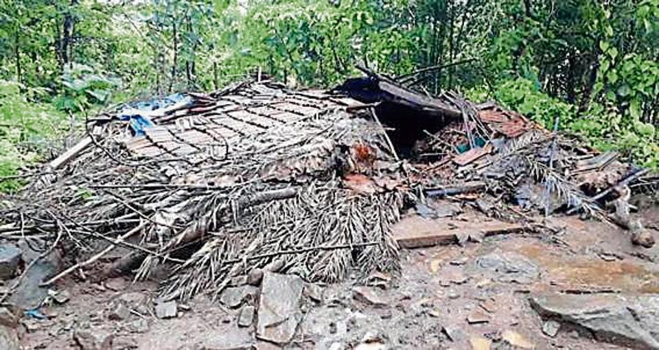 3,637 earthquakes in Palghar since January: NGRI data | Mumbai news ...