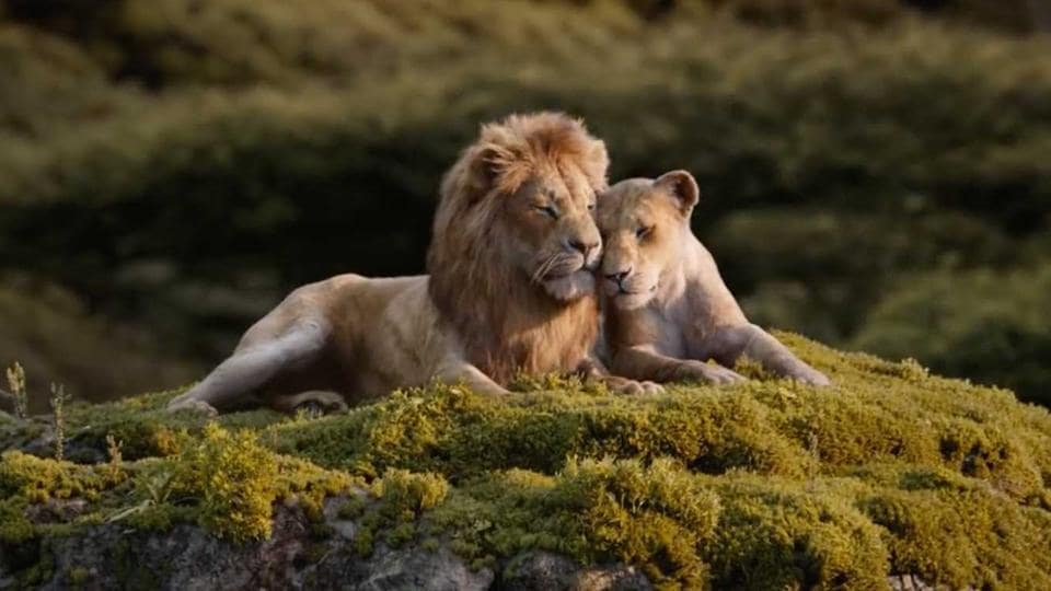 Condenseren grootmoeder zelf The Lion King director Jon Favreau reveals the only real shot in the entire  film, leaves fans stunned. See it here | Hollywood - Hindustan Times
