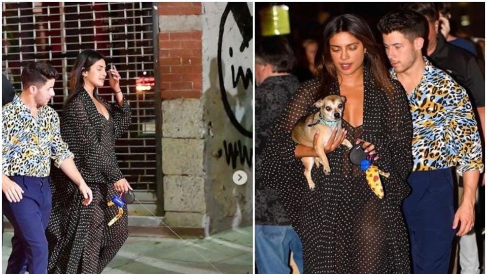 Priyanka Chopra, Nick Jonas enjoy domestic bliss as they take her pet dog for a stroll, see pics