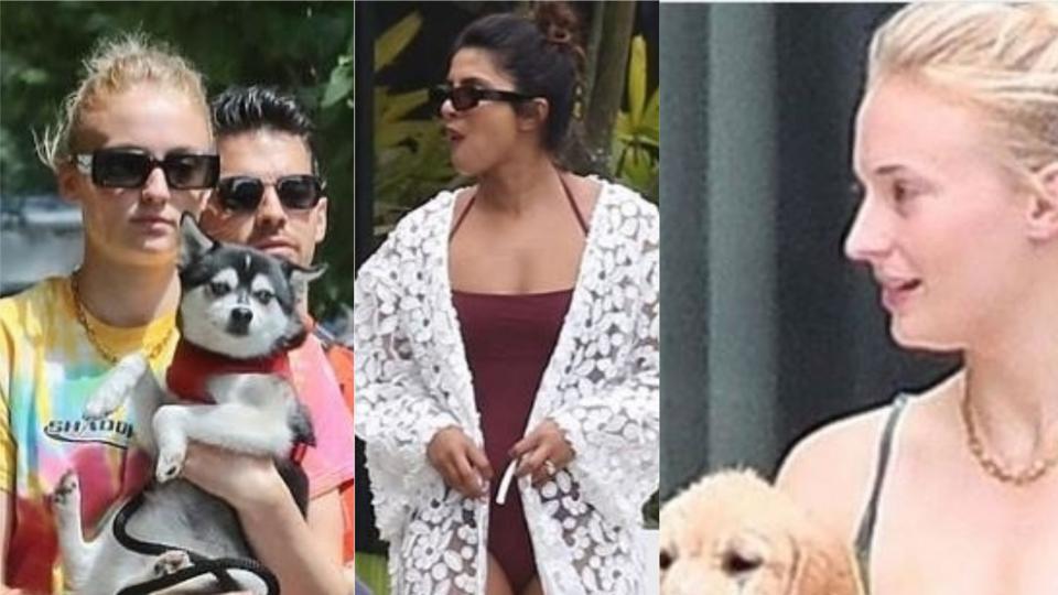 Priyanka Chopra, Sophie Turner are vacationing in Miami with their dogs, check out the cute pics