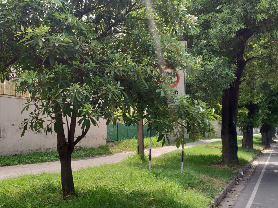 Hidden, faded road signs pose a challenge to motorists in Chandigarh ...