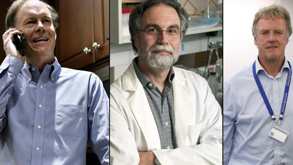 3 Scientists Win Nobel Medicine Prize For Discovering How Cells Use ...