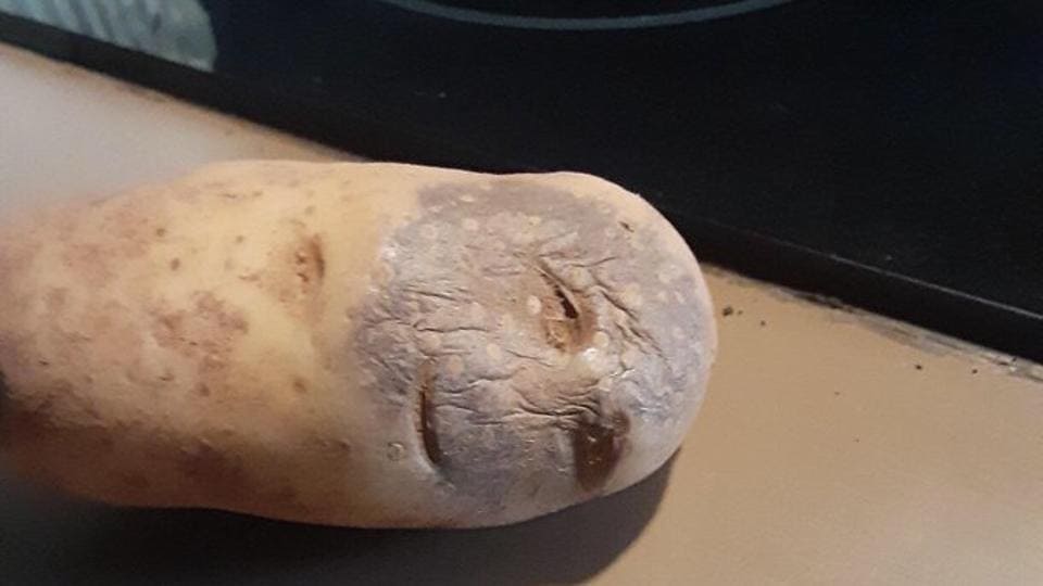 How does it feel to wake up before alarm goes off? Man explains with pic of potato, sparks