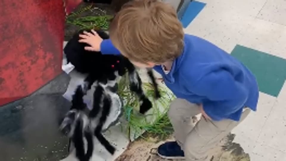 Brave kid fights ‘huge spider.’ Hilarious video leaves people in splits ...