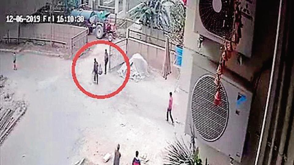 Security supervisor in Gurgaon booked for hitting stray dog, attempt to