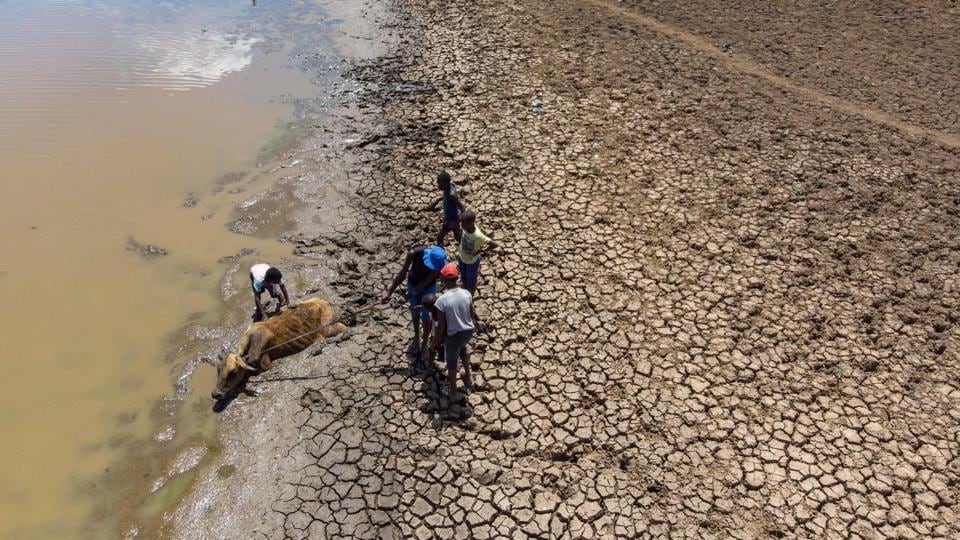 Photos Zimbabwe set for another dismal year of drought, says UN Hindustan Times