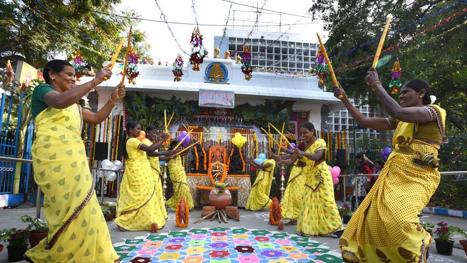 PHOTOS A glimpse of Pongal festivities in India and Sri Lanka