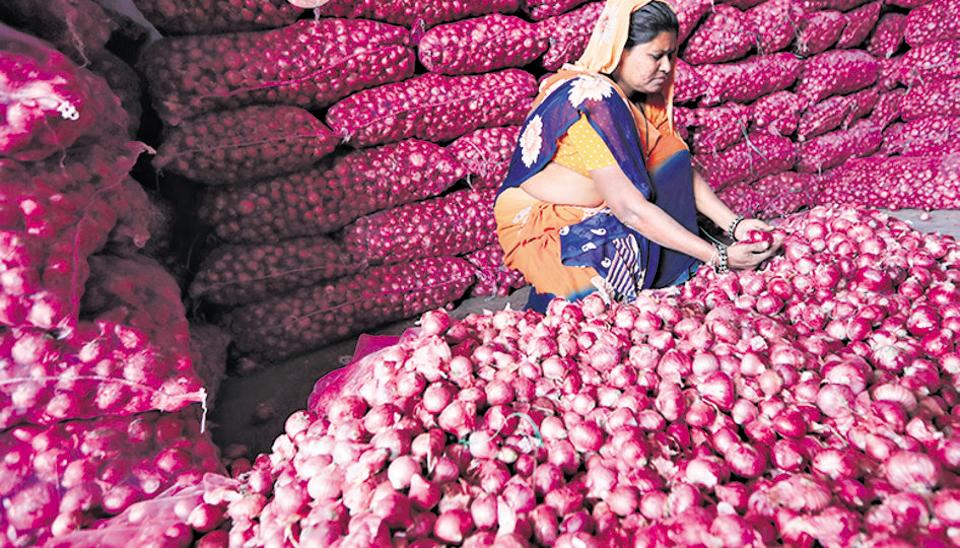 India has started importing Red Onions from Egypt – Fruit Link Fresh Produce