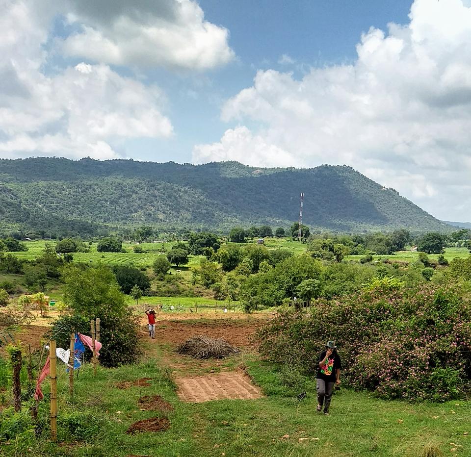 Startups are helping city buyers invest in farm plots, agro-forests -  Hindustan Times