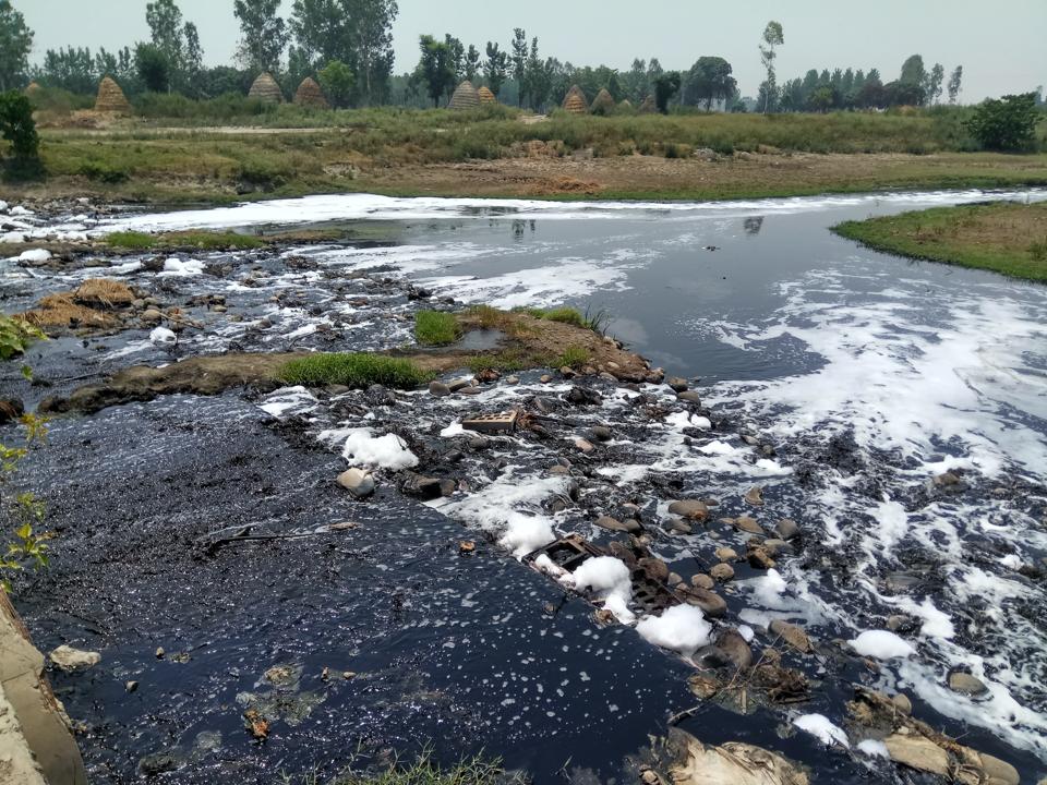 water pollution in haryana essay