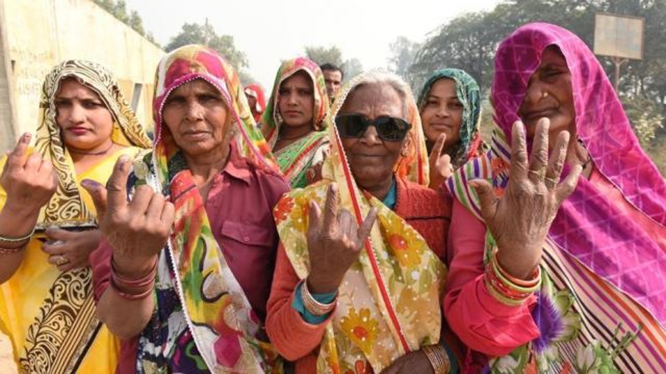 Delhi Assembly Election 2020: 132 centenarian voters, 110-year-woman oldest electorate