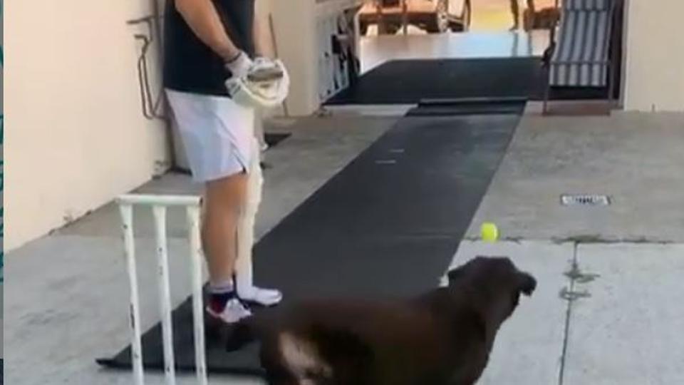 ‘Tapedup tennis ball with a dog thrower’ Aussie star Marnus