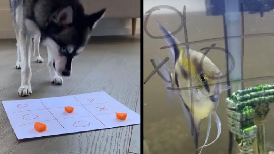 football tic tac toe boards｜TikTok Search