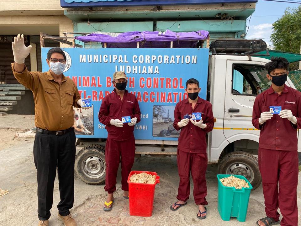 MC, NGOs commence deworming of stray dogs in Ludhiana Hindustan Times