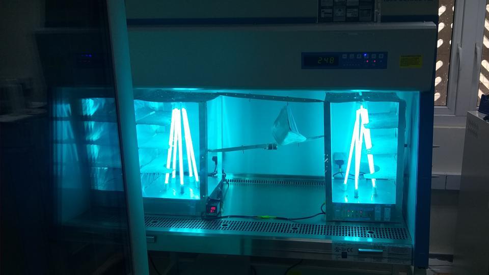 IIT Jodhpur develops sterilisation system for medical accessories used