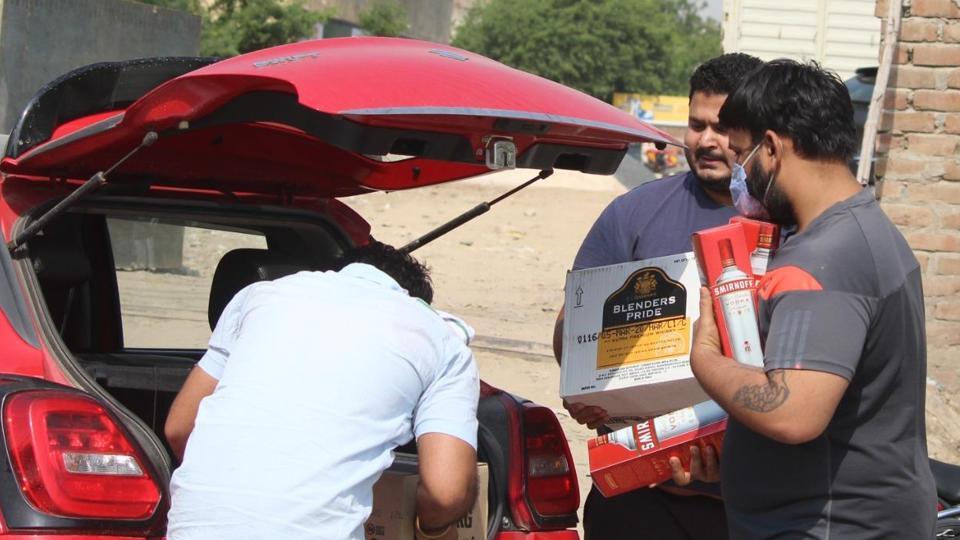 Plastic eating bacteria image