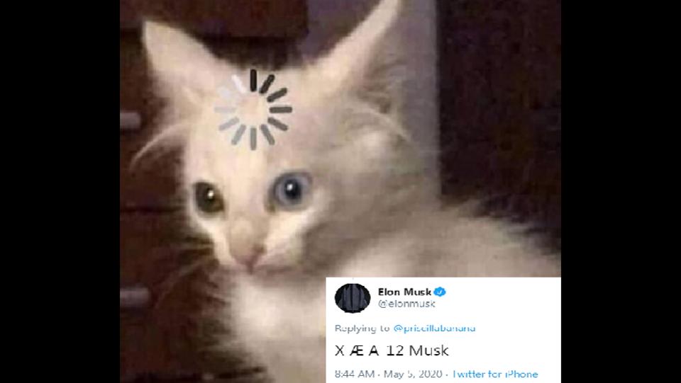 Elon Musk Names His Newborn X Ae A 12 Tweeple Can T Keep Calm Trending Hindustan Times