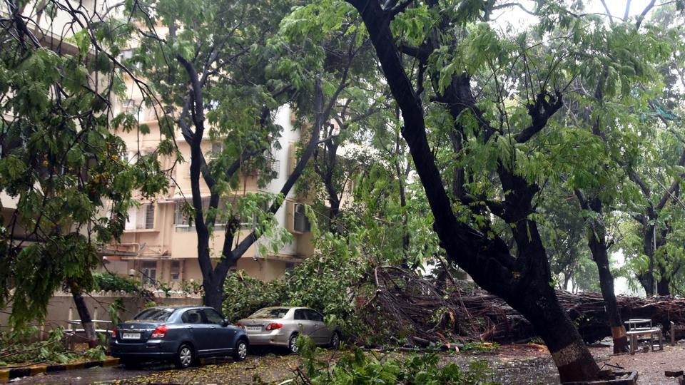 4 people dead, 7 districts severely affected in Maharashtra due to ...