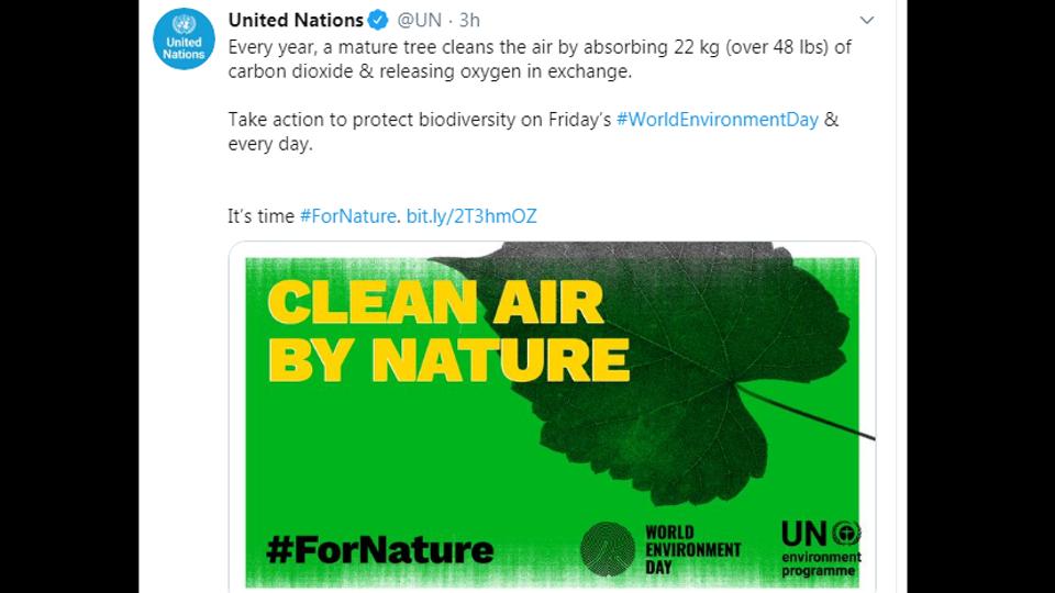 World Environment Day 2020 Tweeple share informative and creative