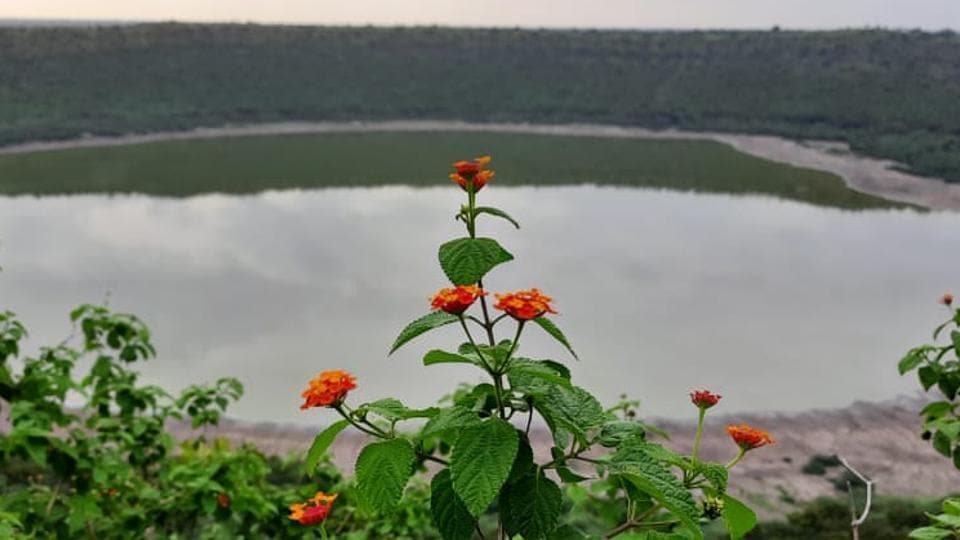 HC raps officials for 'pathetic' condition of Maharashtra's famed Lonar crater lake | Hindustan Times