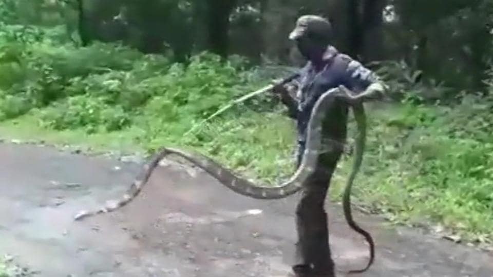 15 feet long King Cobra Rescued In Tamil Nadu Netizens Amazed Trending Hindustan Times