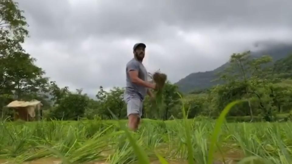 Salman Khan Enjoys Farm Life Shares Video Of Planting Rice Saplings In Ankle Deep Water Watch