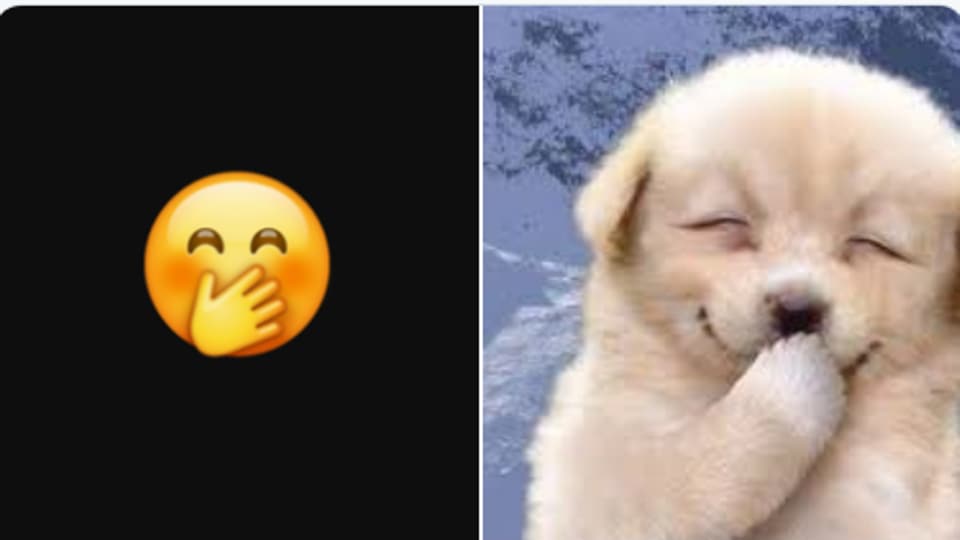 Download Find Doggos Cute Wait Till You See This Twitter Thread Of Emojis As Dogs Trending Hindustan Times