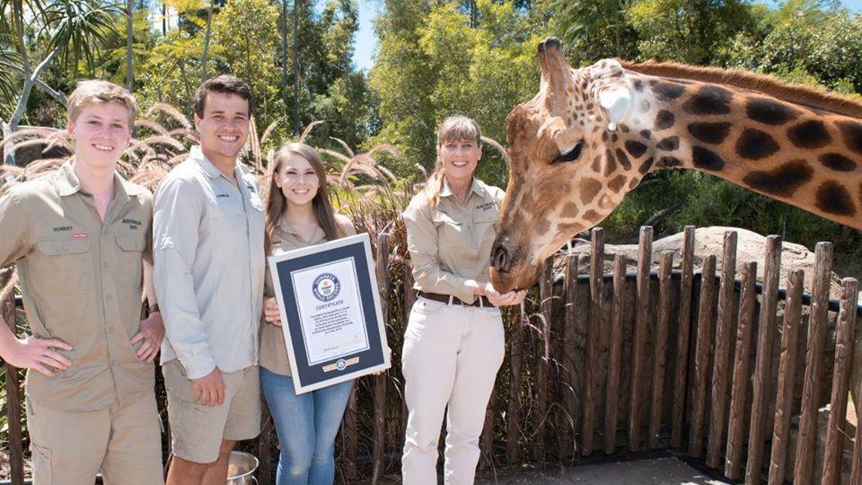 Meet The World S Tallest Giraffe Bindi Irwin Shares Happy Announcement Trending Hindustan Times