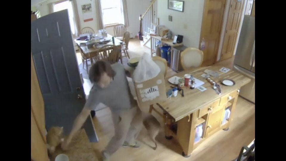 Man grabs cat to stop it from bolting out of the door, then does this out of guilt. Watch