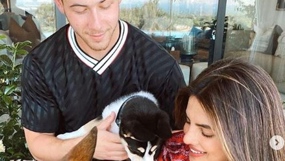 Priyanka Chopra and Nick Jonas welcome new member to their family, a little rescue dog named Panda. See pics