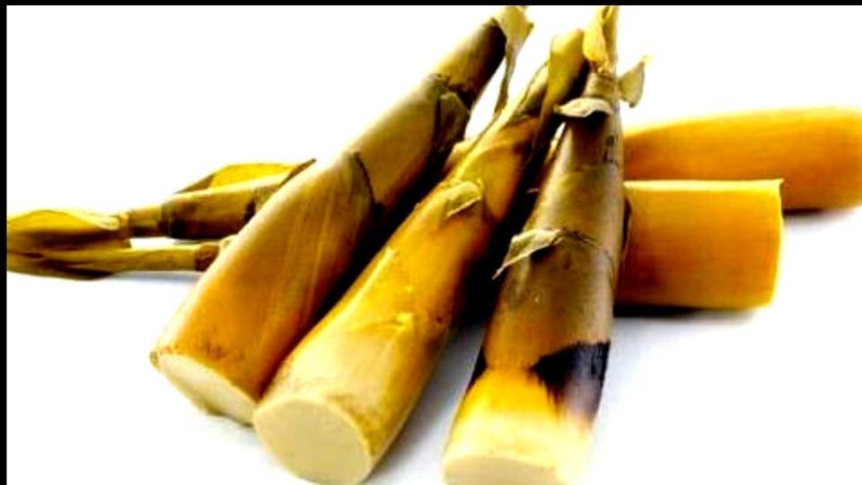 Make Bamboo Shoot your bae Hindustan Times