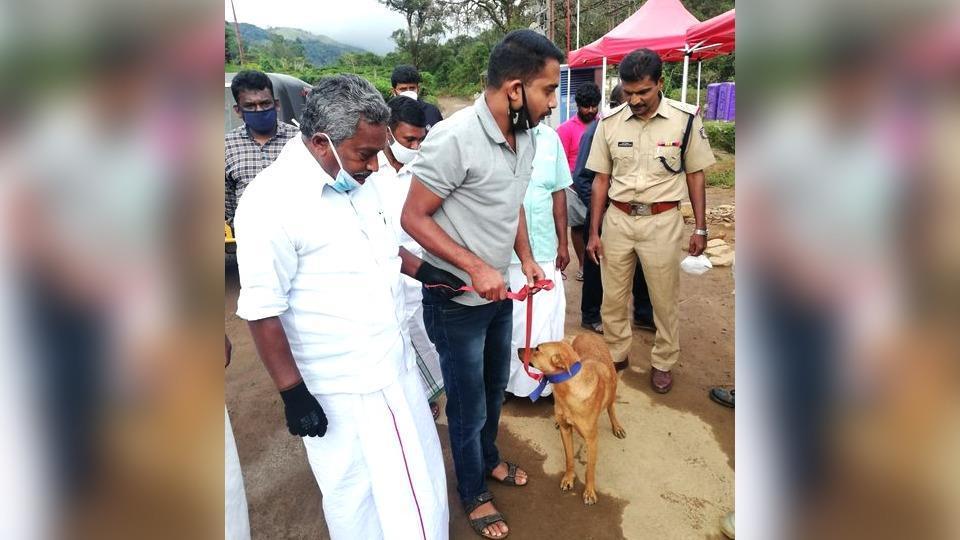 Dog who helped in Kerala landslide rescue ops finds new home | Latest ...