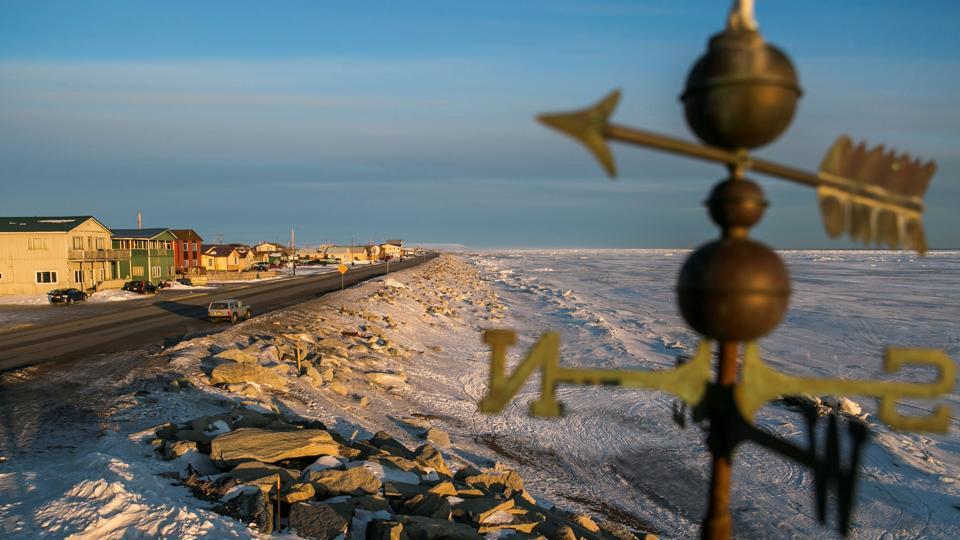 Vegetation in Bering Sea island shows ice at lowest levels in 5,500 years: Report