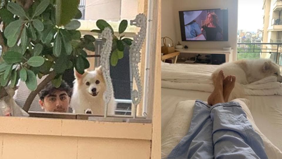 Malaika Arora reunites with family, dog Casper two weeks after testing positive for Covid-19, shares picture from bedroom