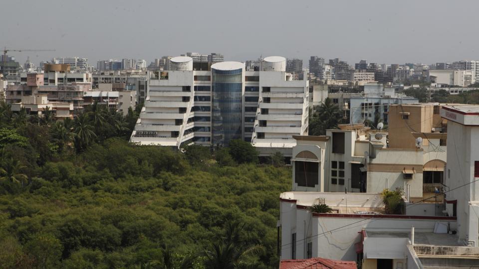 Contempt Notice To Cidco For Failure To Hand Over Mangrove Land To Forest Department Hindustan Times I simply cannot live without it!!!