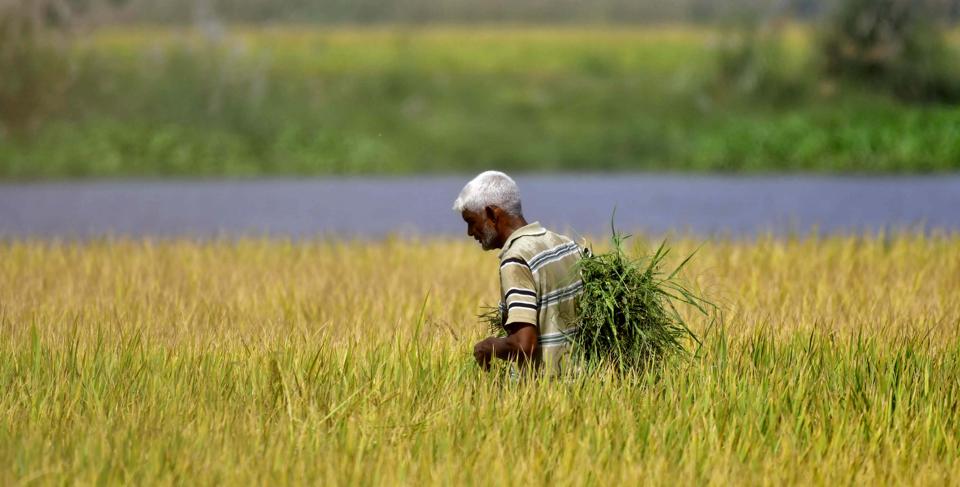 This is definitely not the 1991 moment for agriculture, writes Capt Amarinder Singh