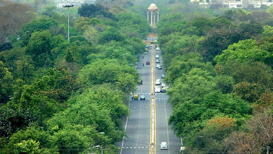 Understanding the rationale of Delhi’s tree transplantation policy | Analysis