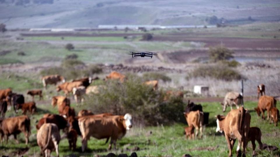 Drones manage cattle at a ranch in Israel instead of dogs | Trending