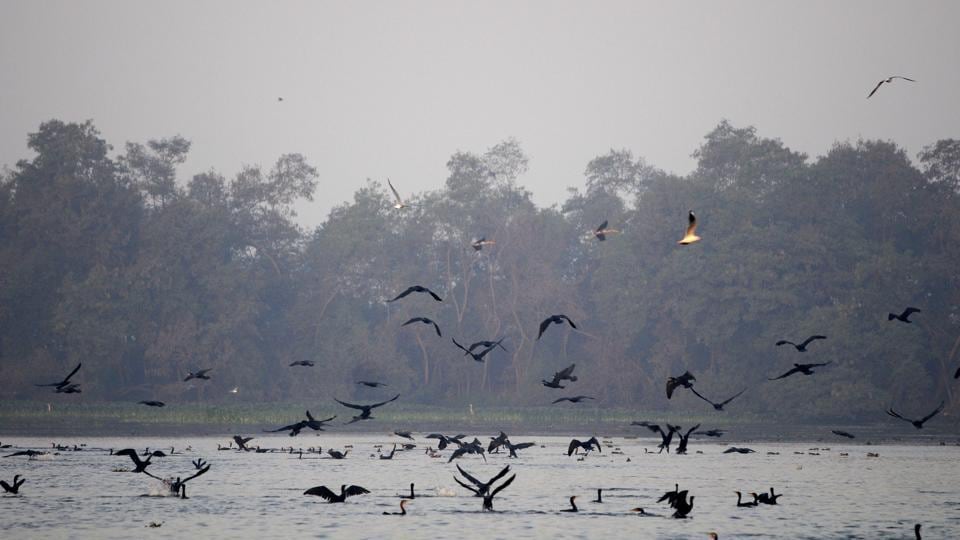 1,014 participate in 2nd edition of The Salim Ali Nature Quiz