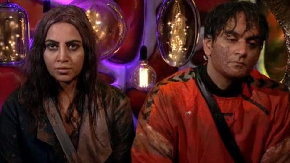 Bigg Boss 14 written update day 65: Arshi Khan fights with Vikas Gupta, Rubina Dilaik and Eijaz Khan lock horns