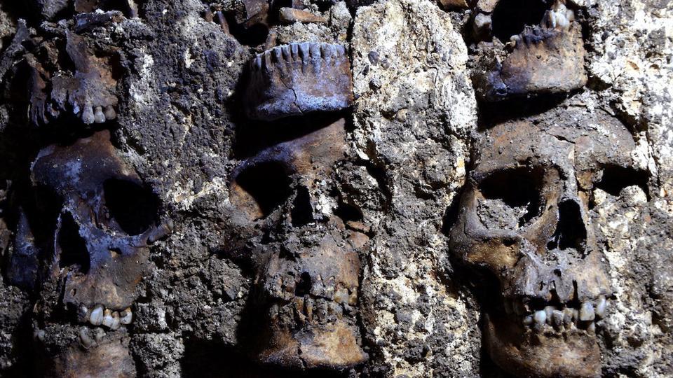 Building of life rather than death: Mexico ‘tower of skulls’ yields more ancient remains